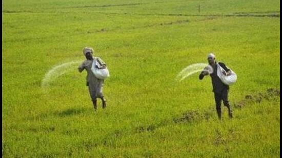 Farmer Update 2025: Fertilizer Companies Are Looting UREA, DAP Retailers & Farmers On A Large Scale Under The Nose Of The Government. 1 Fertilizer Companies Are Looting UREA DAP Retailers & Farmers On A Large Scale Under The Nose Of The Government.