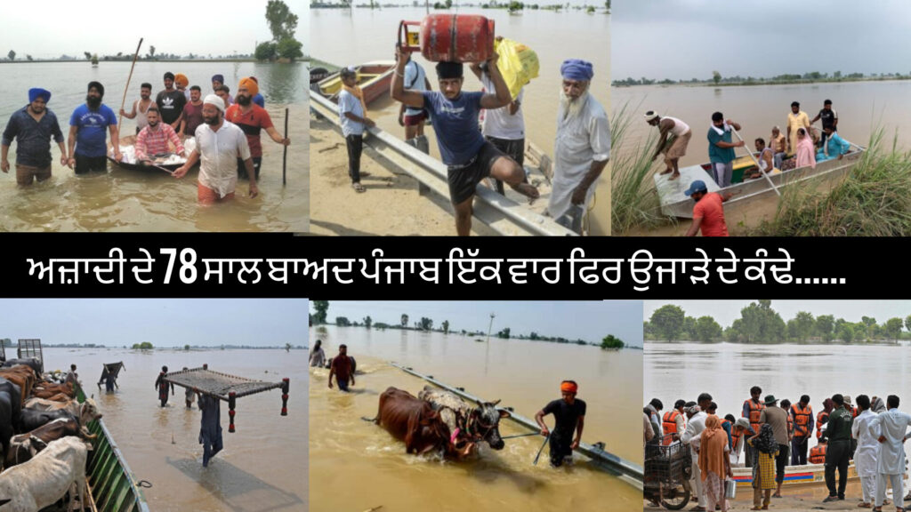 Punjab: Floods Wreak Havoc, AAP MLA Turns Rebel 1 Punjab: Floods Wreak Havoc, AAP MLA Turns Rebel