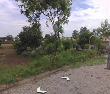 Sunam Update 2025: Proposal To Shift Bus Stand Near Gurdwara Sachkhand Approved 1 Bus stand
