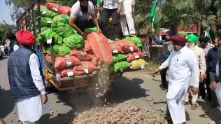 Potato prices from Europe to India fall to Rs 250-450 per quintal 1 Potato prices from Europe to India fell by Rs 250-450 per quintal