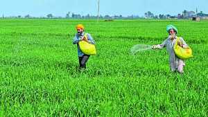 Home 2 fertilizer subsidy